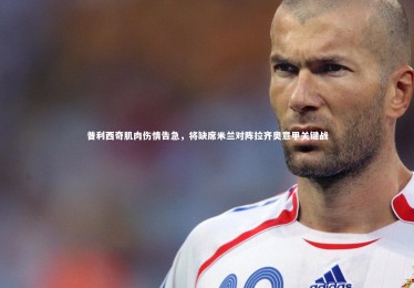 皇冠网官网_普利西奇肌肉伤情告急，将缺席米兰对阵拉齐奥意甲关键战